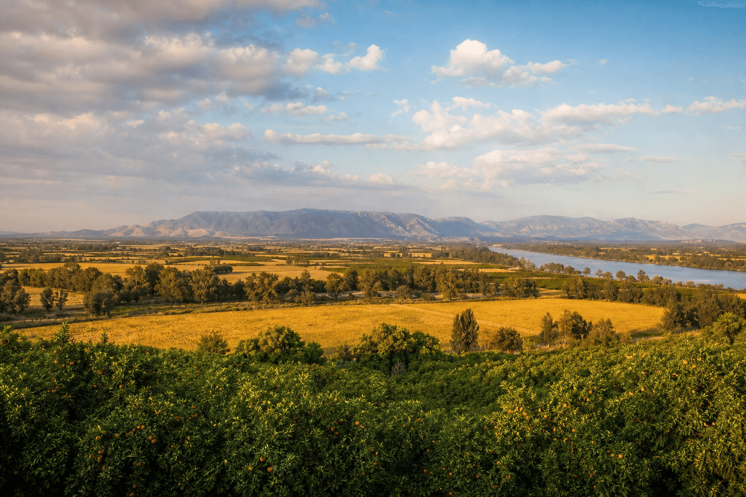 The fertile lands of Çukurova